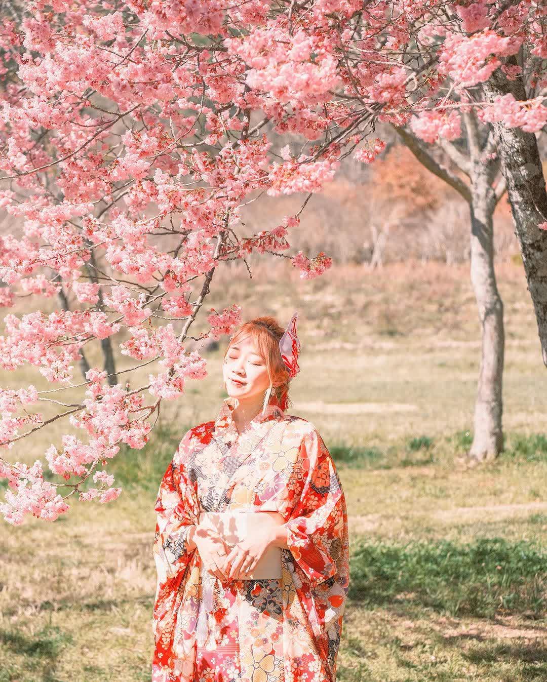 武陵農場 | 去趣 chicTrip