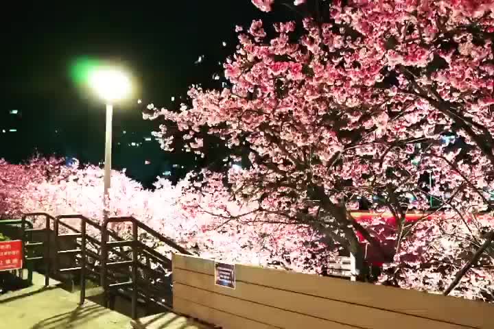 樂活公園 | 去趣 chicTrip