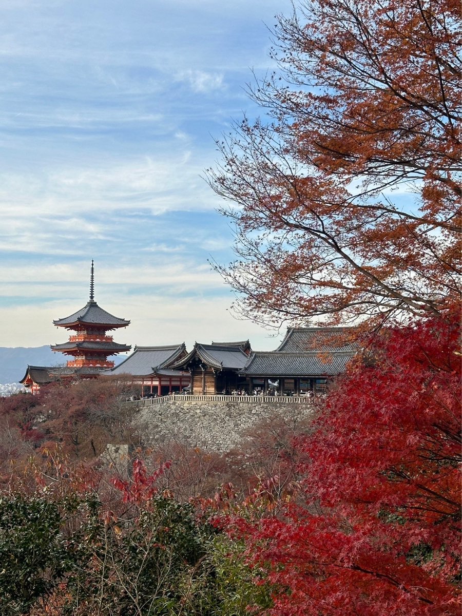 清水寺 | 去趣 chicTrip
