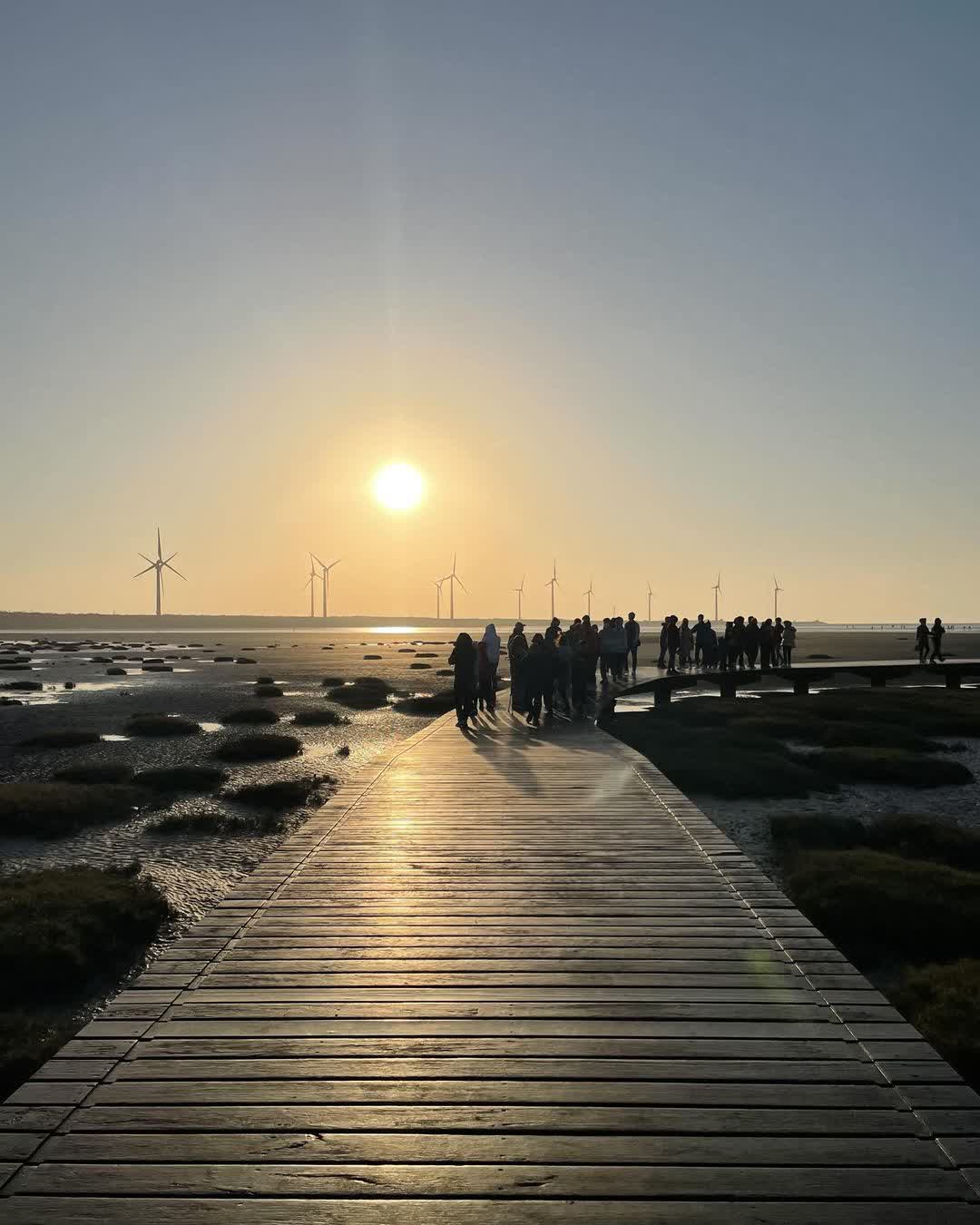 高美野生動物保護區 | 去趣 chicTrip