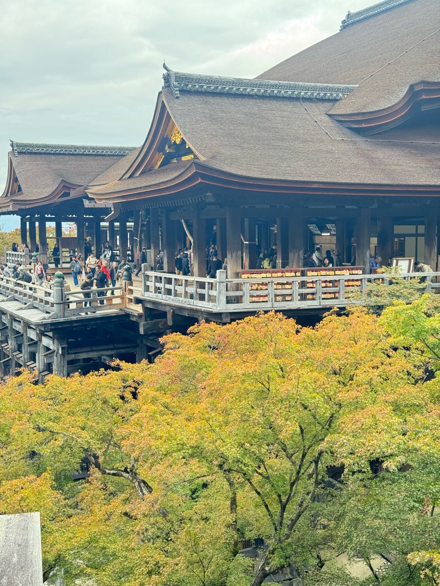 清水寺 | 去趣 chicTrip