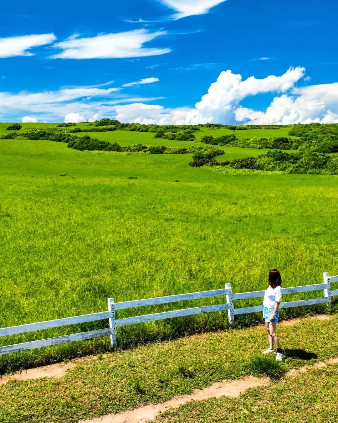 水蛙窟大草原 | 去趣 chicTrip