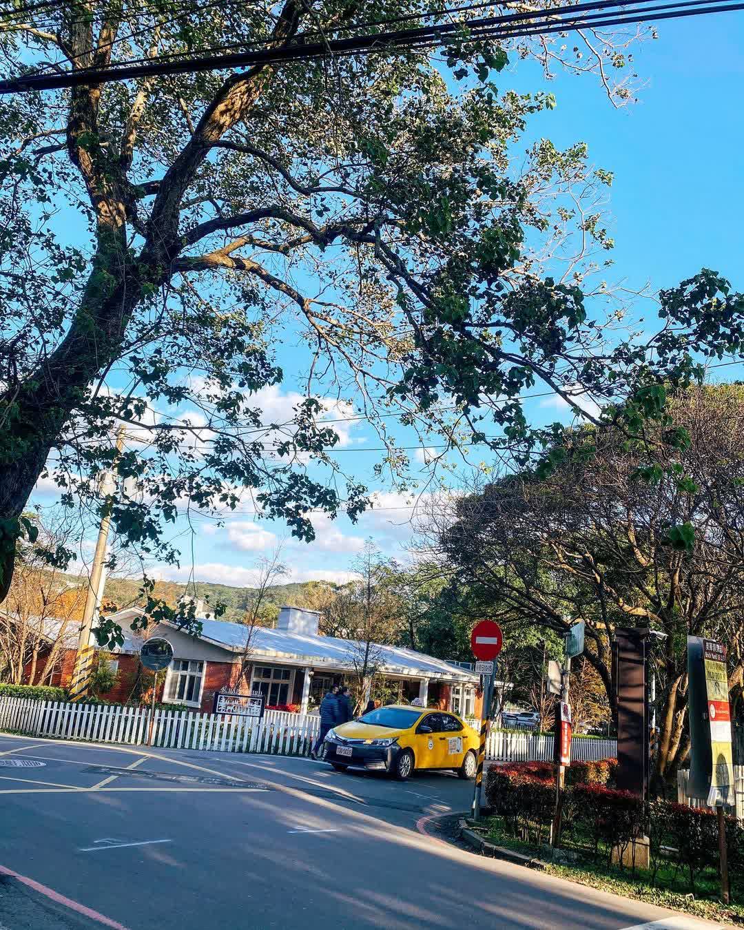 陽明山 | 去趣 chicTrip