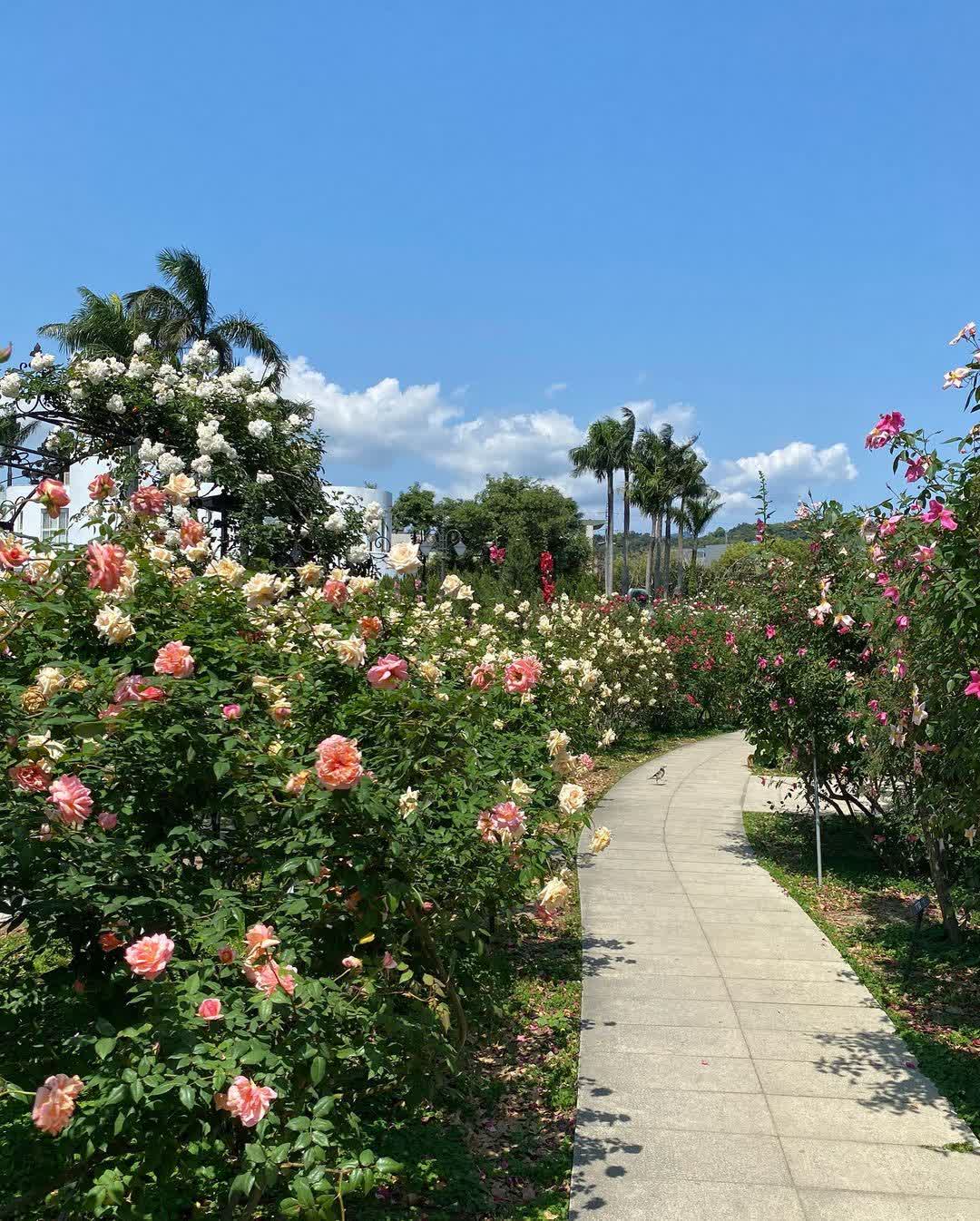 花露農場 Flower Home | 去趣 chicTrip