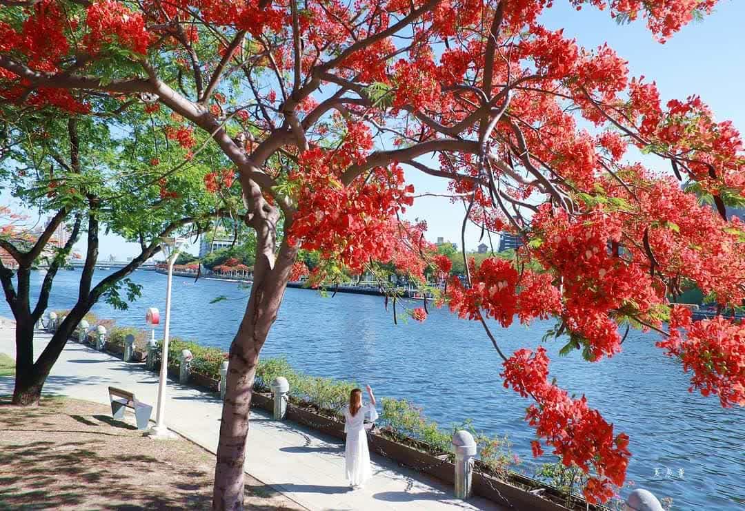 愛河(河東路) | 去趣 chicTrip