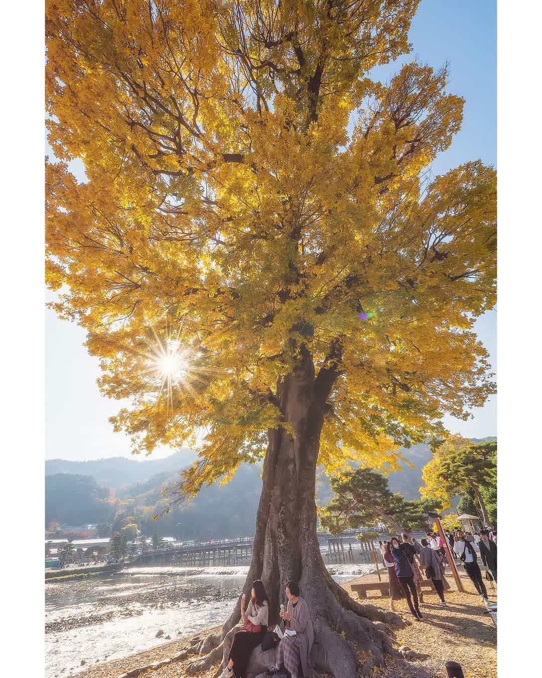 渡月橋 | 去趣 chicTrip