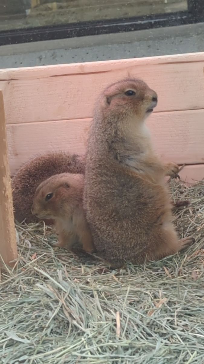 東山動植物園 | 去趣 chicTrip