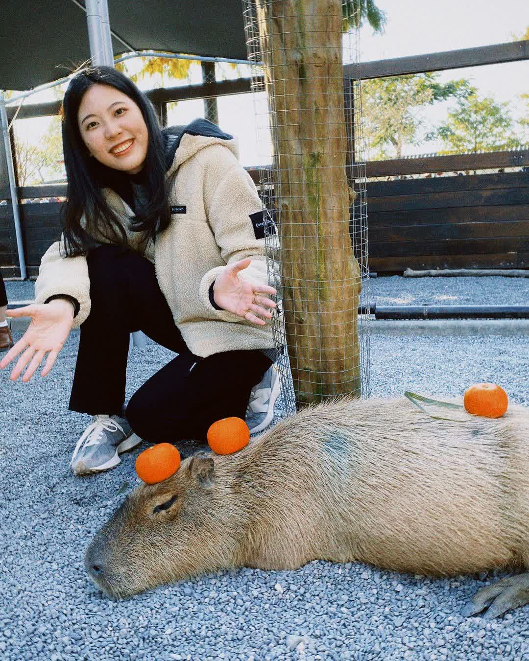 張美阿嬤農場（月森甯手作工坊） | 去趣 chicTrip