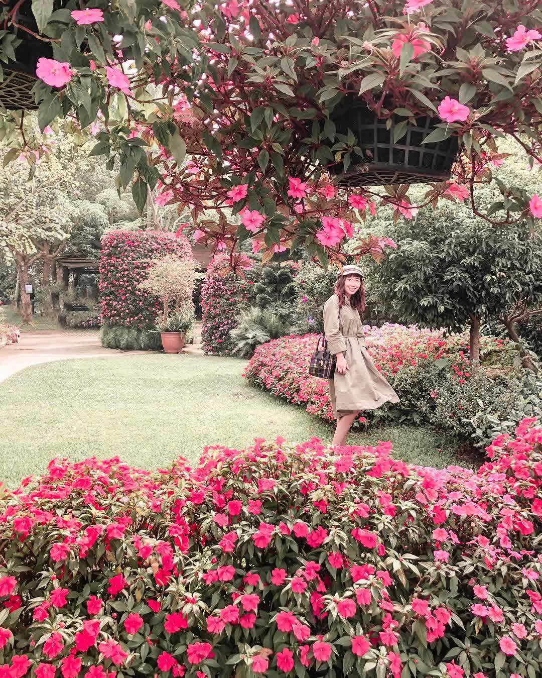 花露農場 Flower Home | 去趣 chicTrip