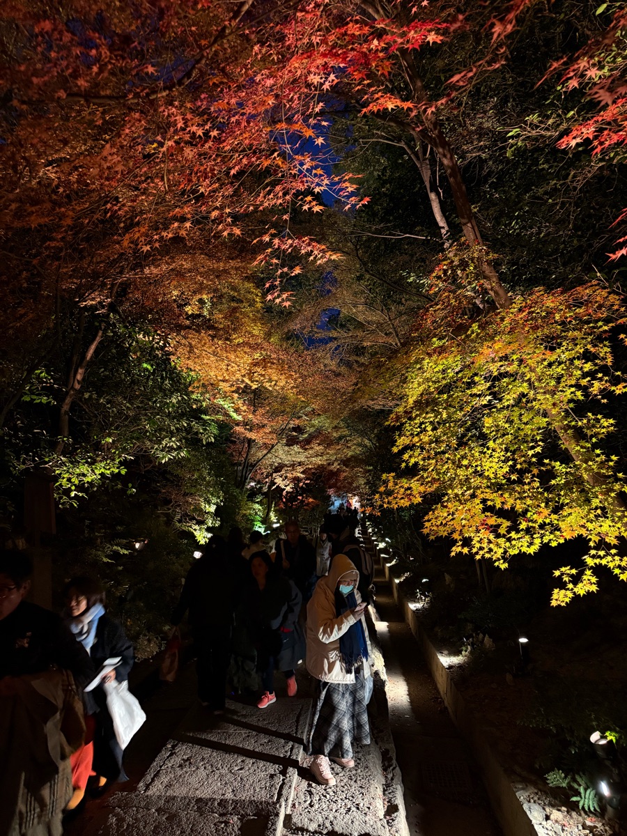 高台寺 | 去趣 chicTrip