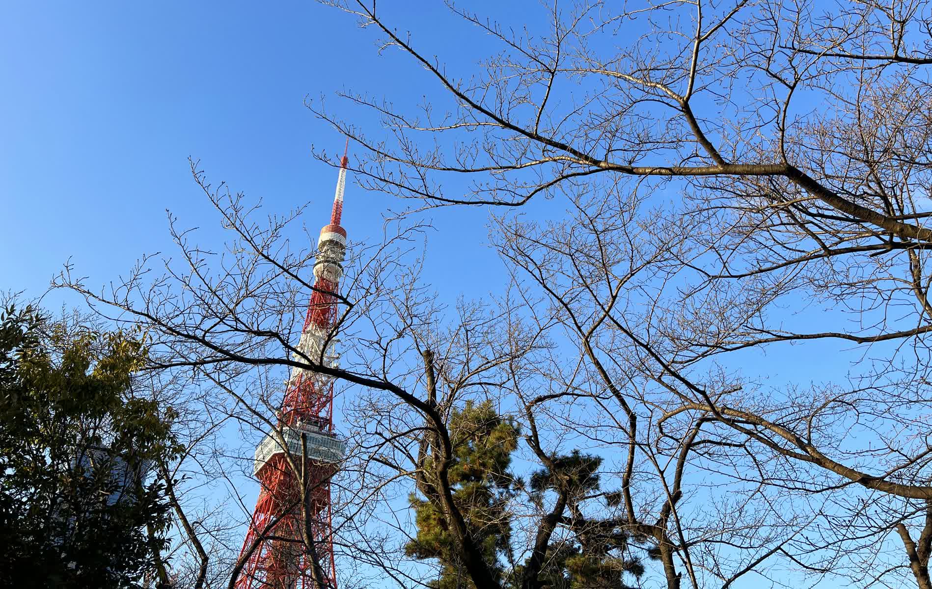 東京鐵塔 | 去趣 chicTrip