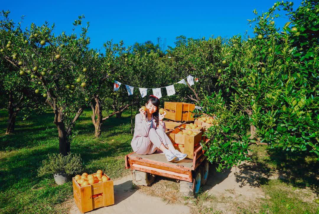 橙香森林 | 去趣 chicTrip