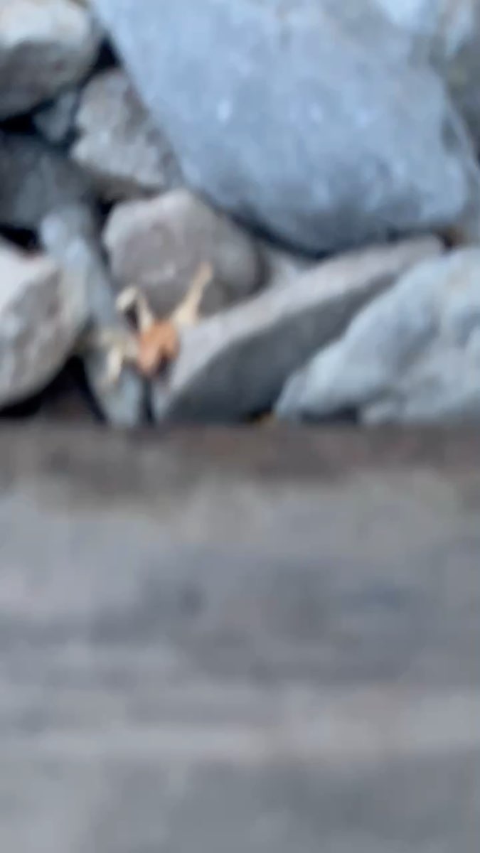 苗栗舊山線鐵道 | 去趣 chicTrip