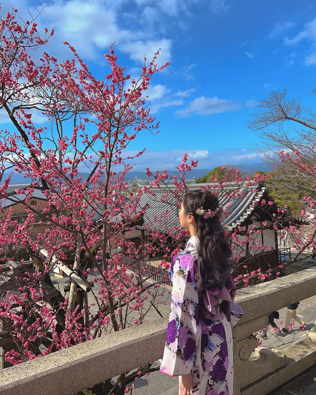 清水寺 | 去趣 chicTrip