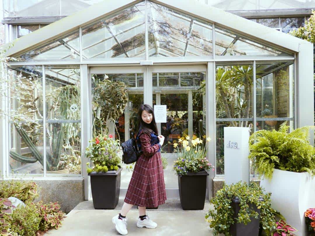 菁芳園 落羽松景觀餐廳 | 去趣 chicTrip