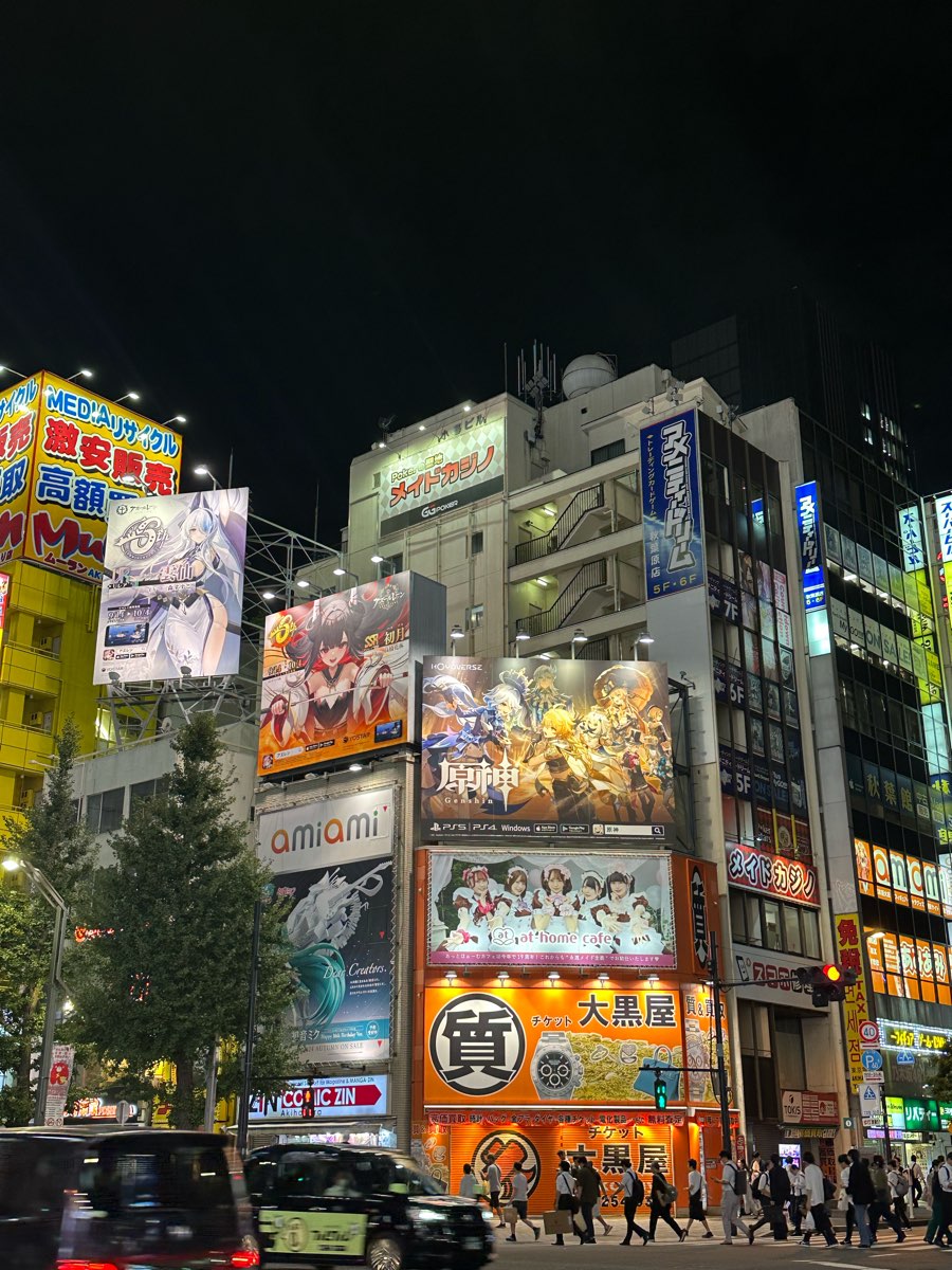 Akihabara Electric Town | 去趣 chicTrip