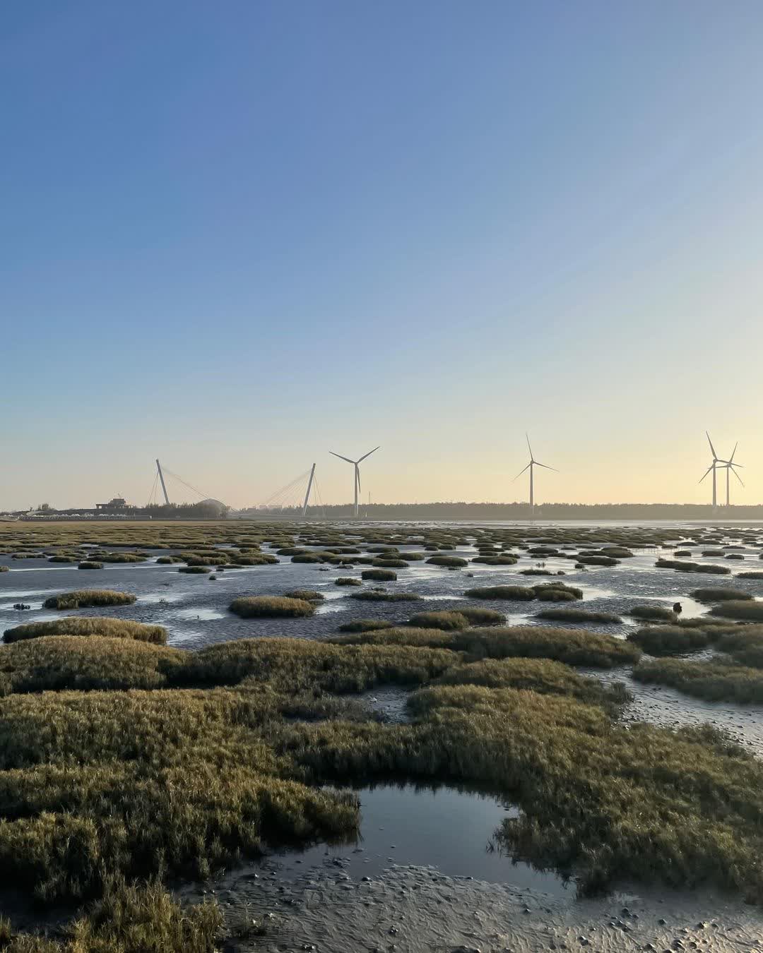 高美野生動物保護區 | 去趣 chicTrip