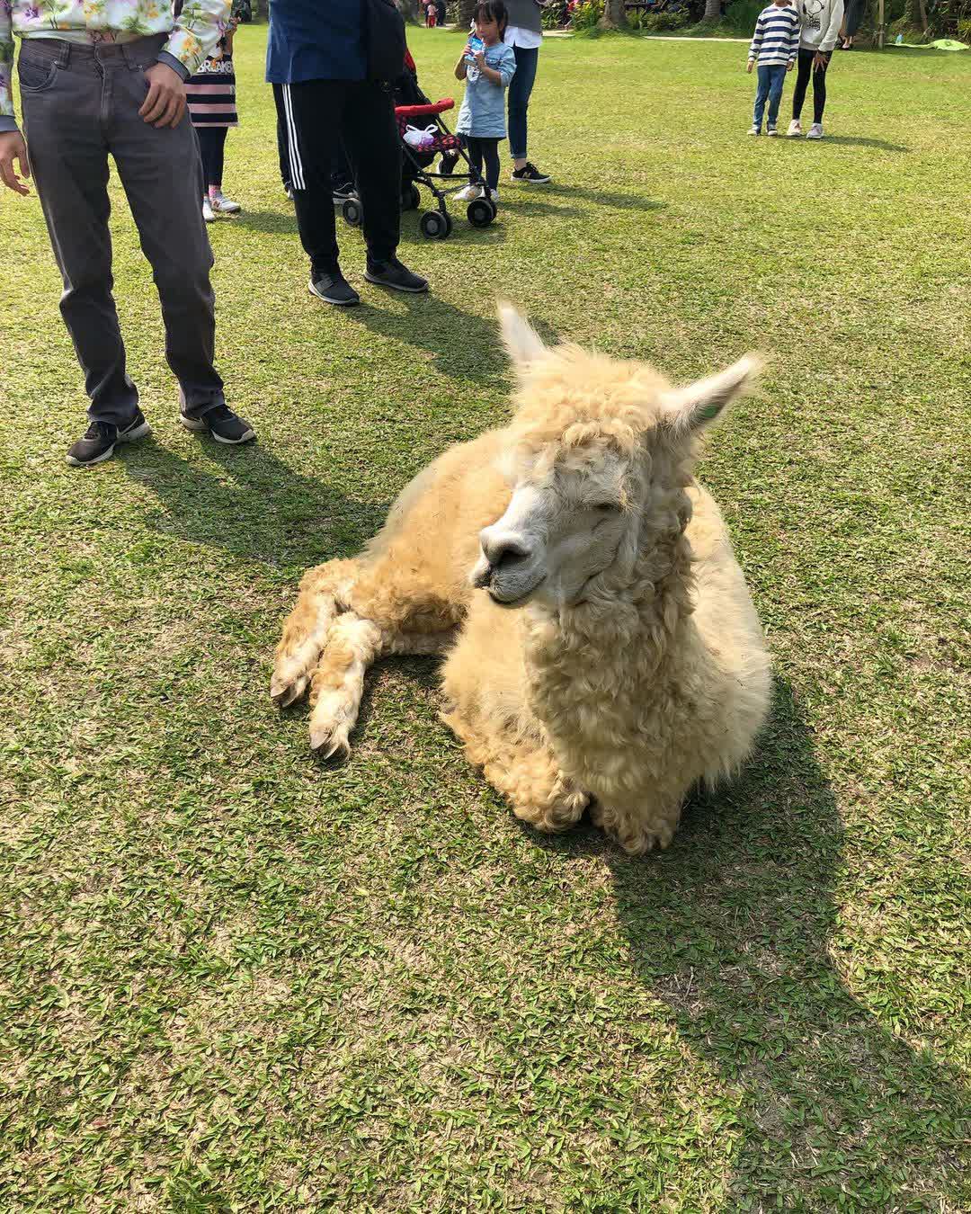 綠世界生態農場 | 去趣 chicTrip