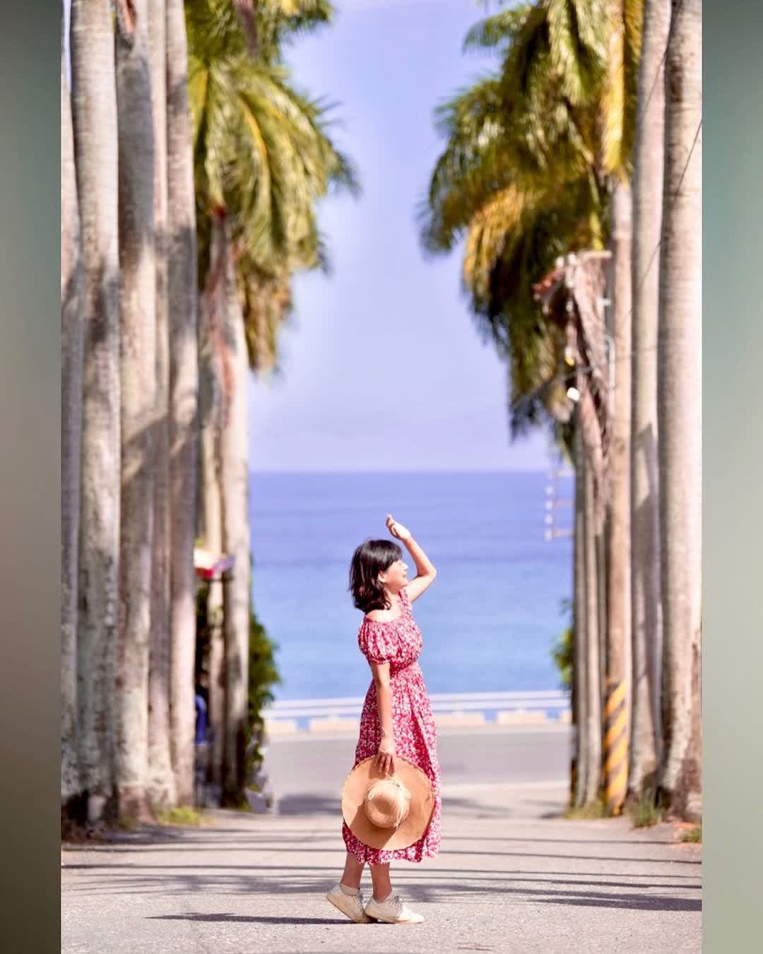 華源椰林大道 | 去趣 chicTrip