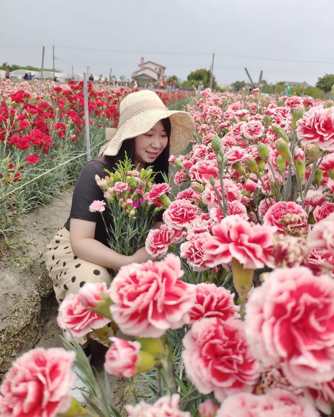 田尾公路花園 | 去趣 chicTrip