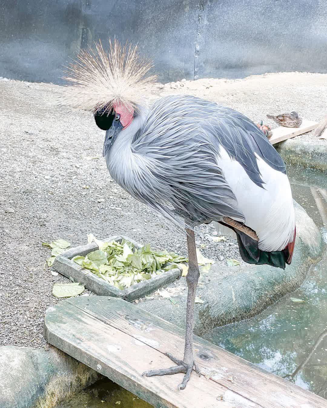 綠世界生態農場 | 去趣 chicTrip