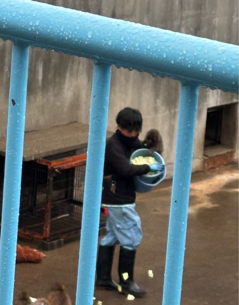 市川市動植物園 | 去趣 chicTrip