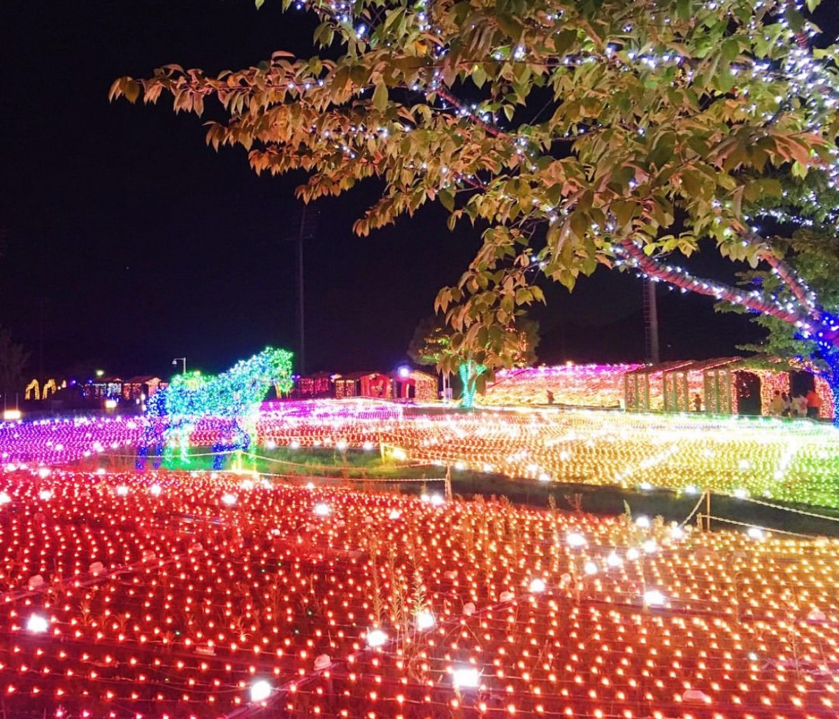 釜山慶南賽馬公園 | 去趣 chicTrip