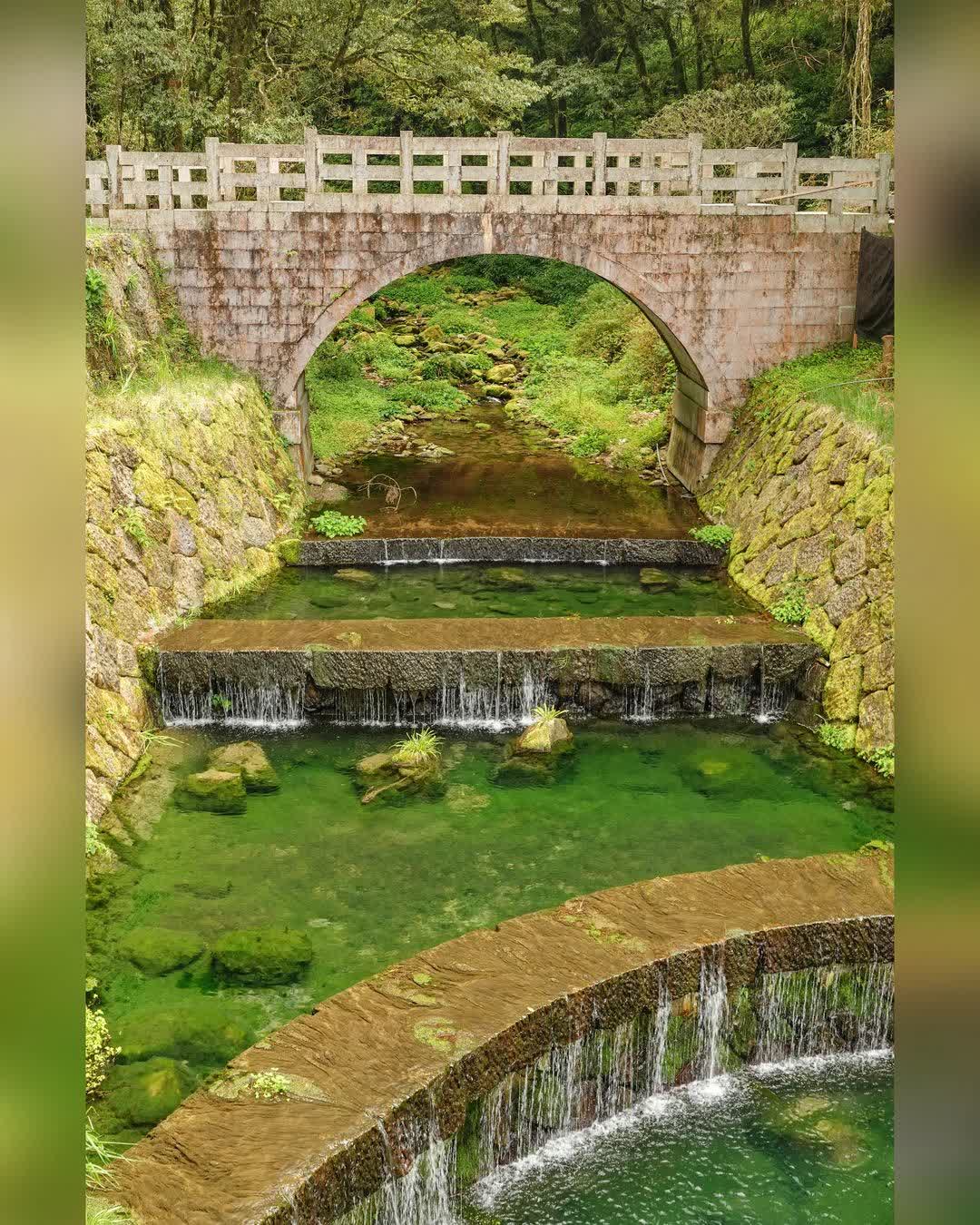 阿里山國家森林遊樂區 | 去趣 chicTrip