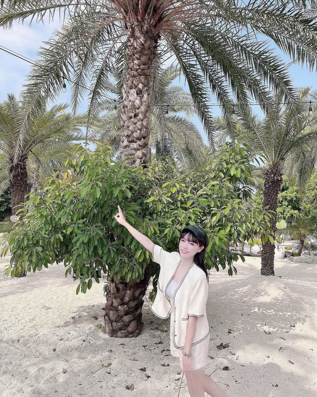 好田森林 | 去趣 chicTrip