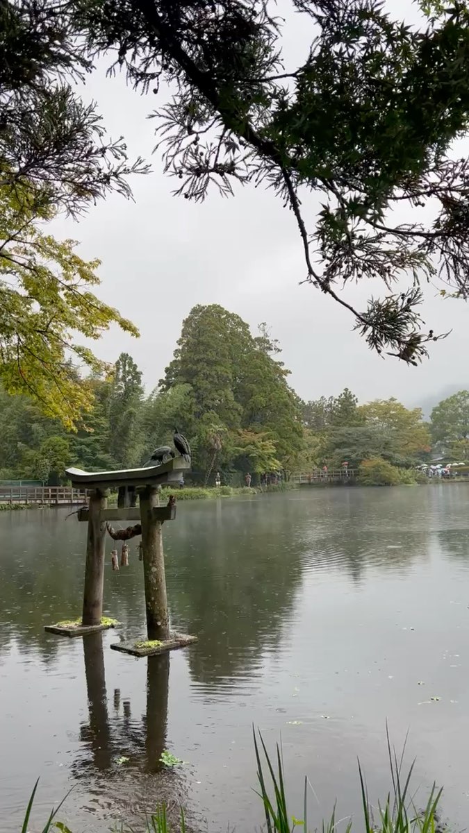 水上鳥居(天祖神社) | 去趣 chicTrip