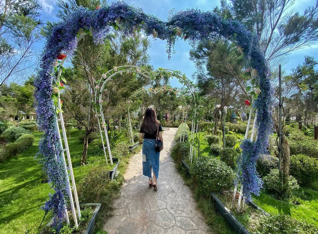 艾米達精靈谷茶樹莊園 | 去趣 chicTrip