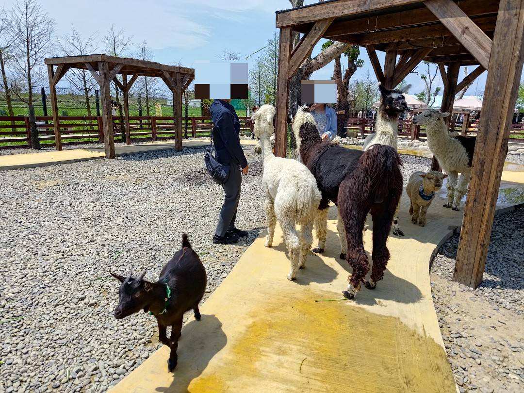 蘭陽動植物王國 | 去趣 chicTrip