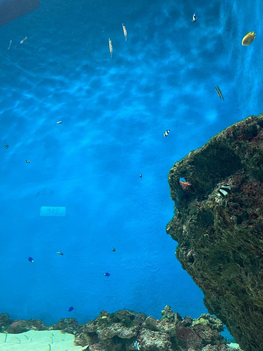 Xpark 水族館 | 去趣 chicTrip