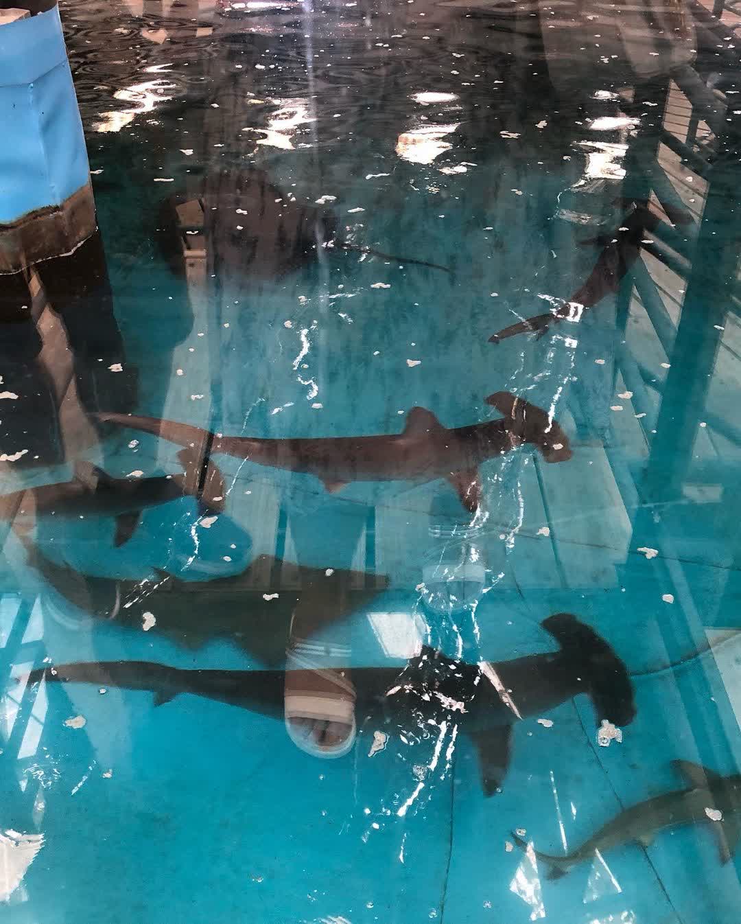 金車生技水產養殖研發中心 | 去趣 chicTrip