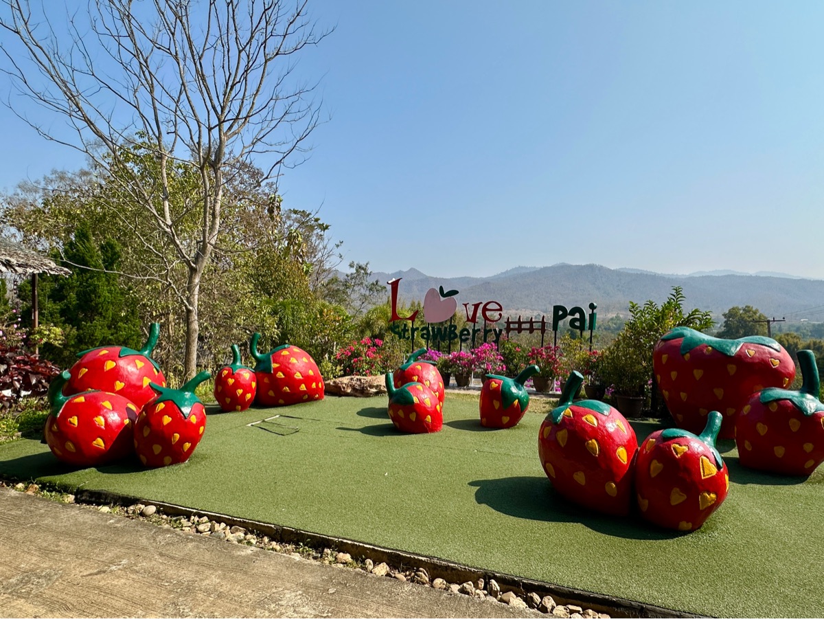 草莓園 | 去趣 chicTrip