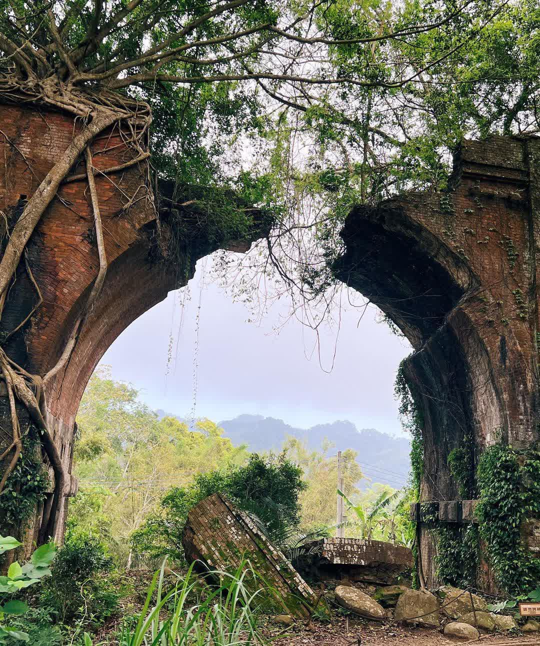 龍騰斷橋(魚藤坪斷橋) | 去趣 chicTrip