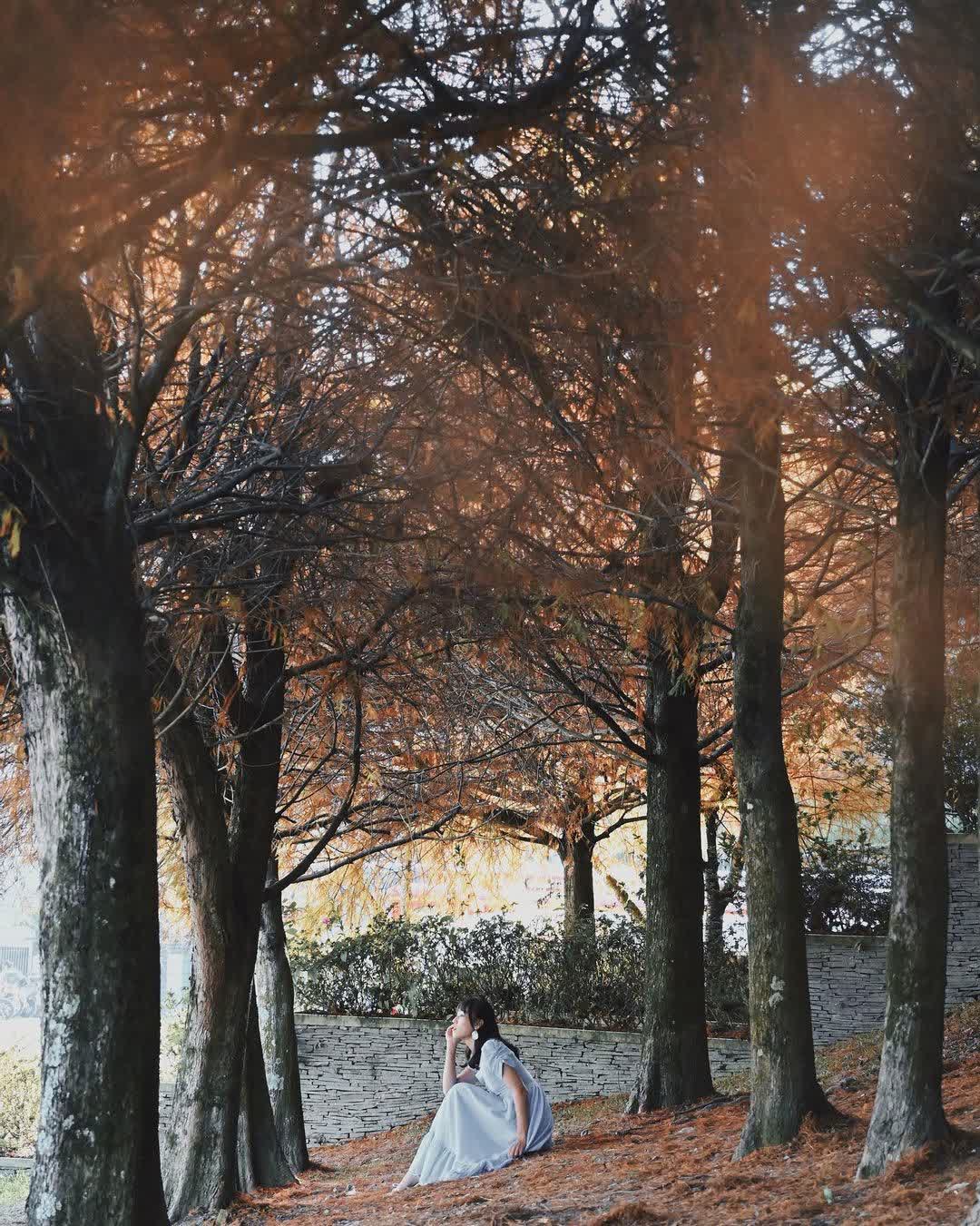 清境農場小瑞士花園 | 去趣 chicTrip