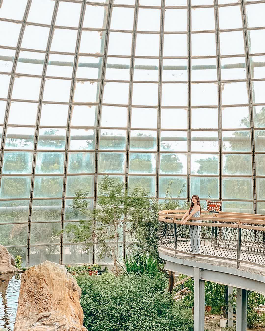 嘉大昆蟲館 | 去趣 chicTrip