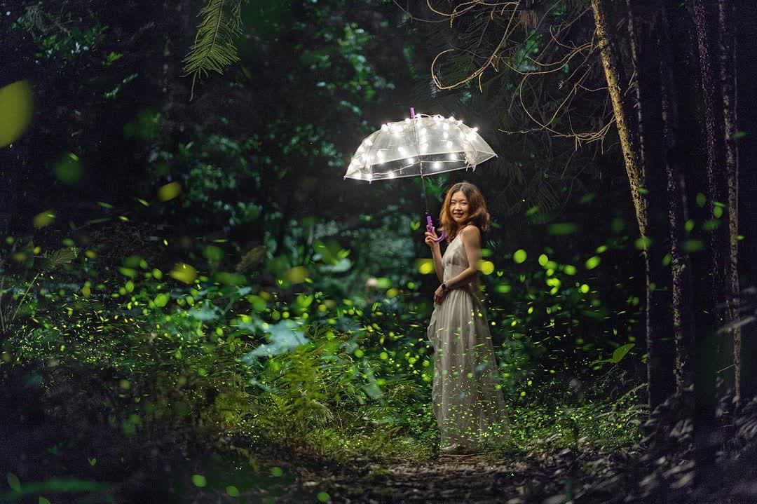 日月潭 | 去趣 chicTrip