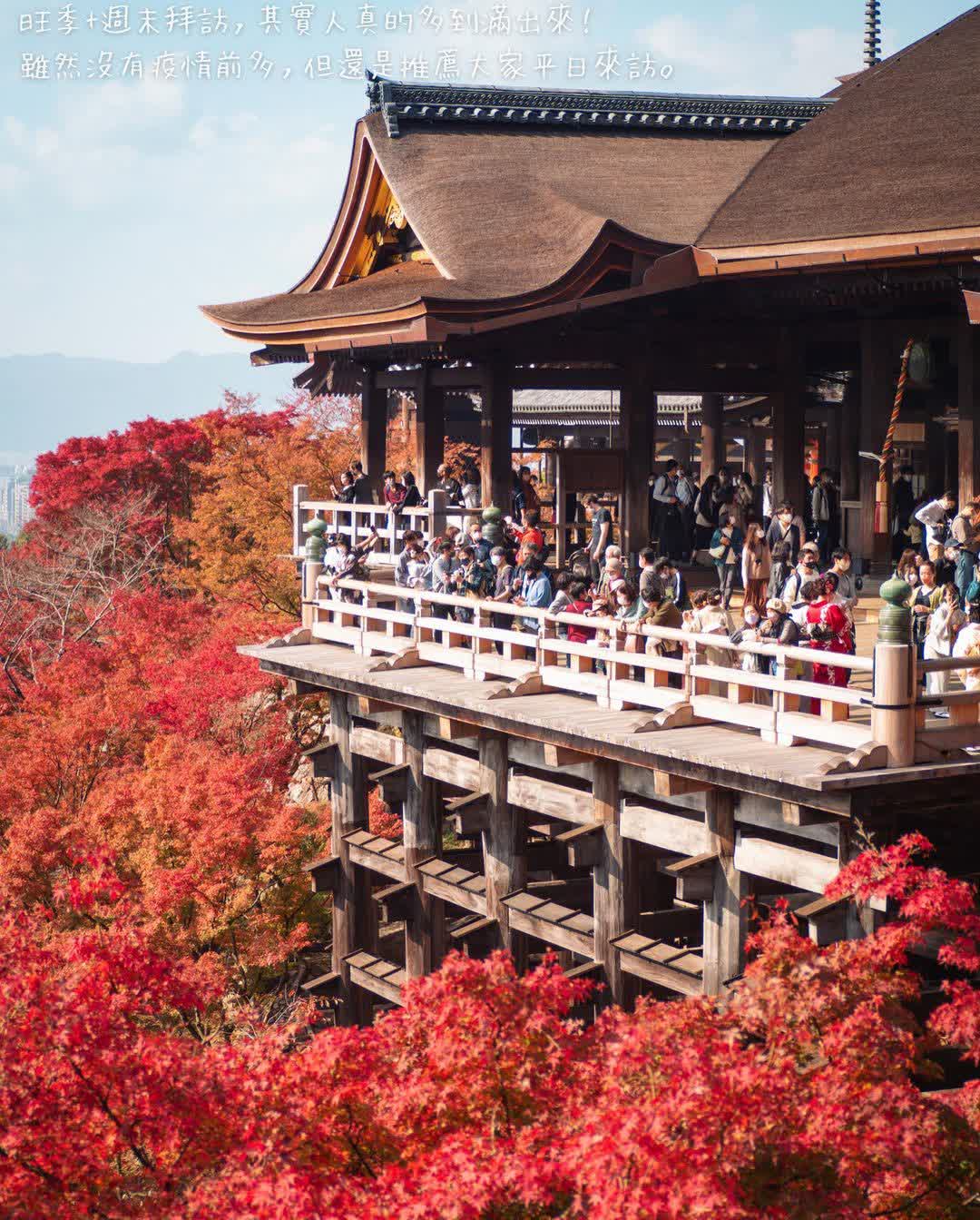 清水寺 | 去趣 chicTrip