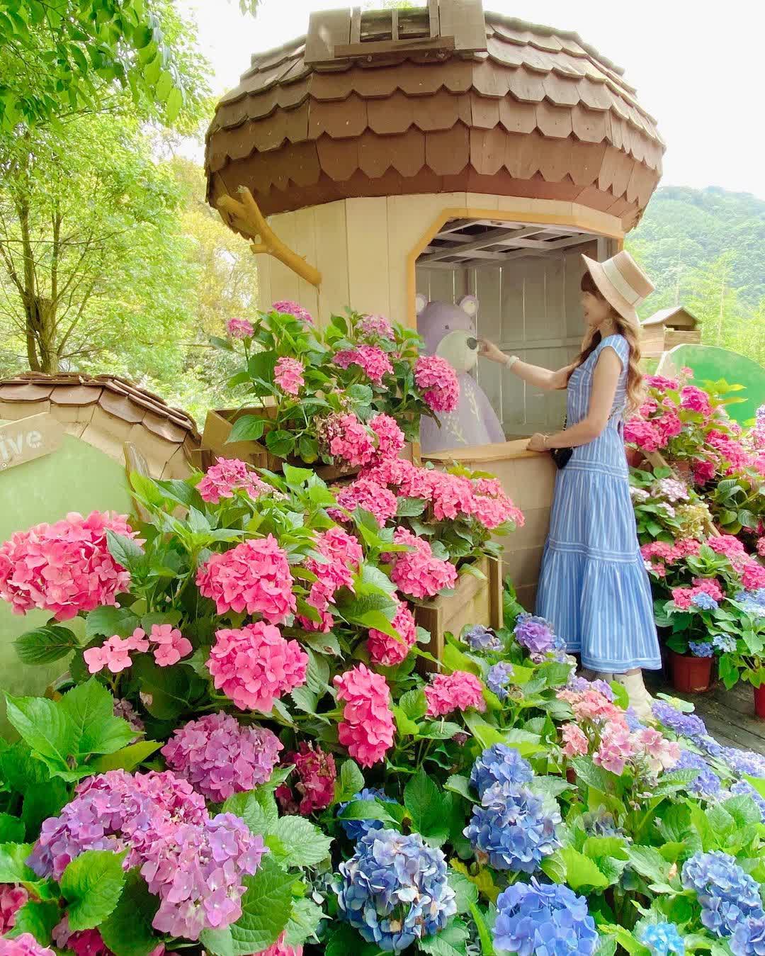 薰衣草森林台中新社店 | 去趣 chicTrip