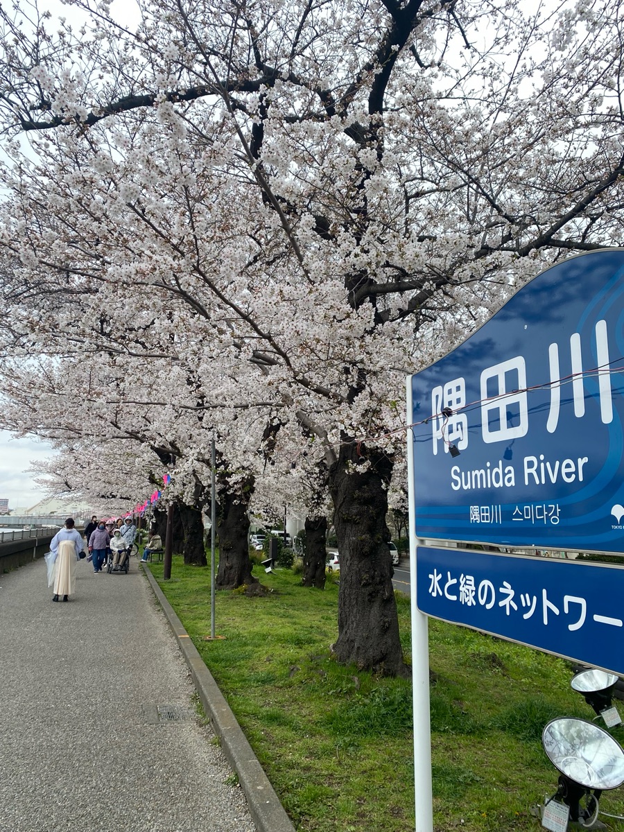 隅田公園 (淺草側) | 去趣 chicTrip