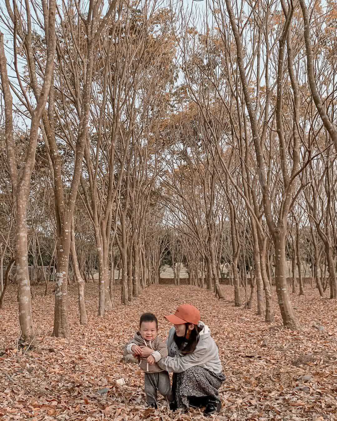 林後四林平地森林園區 | 去趣 chicTrip