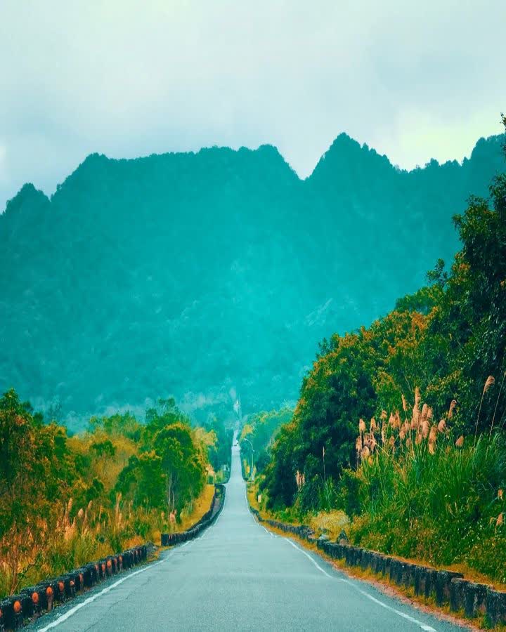 大農大富平地森林園區 | 去趣 chicTrip