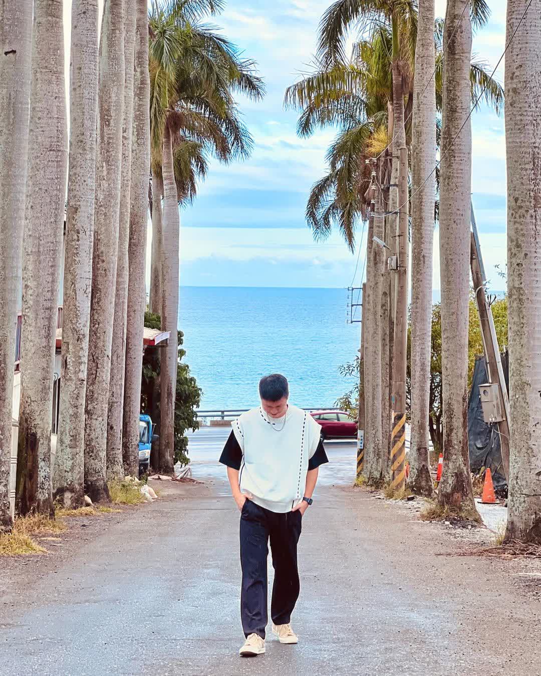 華源椰林大道 | 去趣 chicTrip