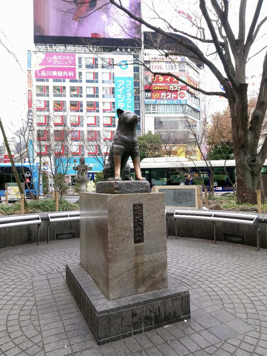 忠犬八公像 | 去趣 chicTrip