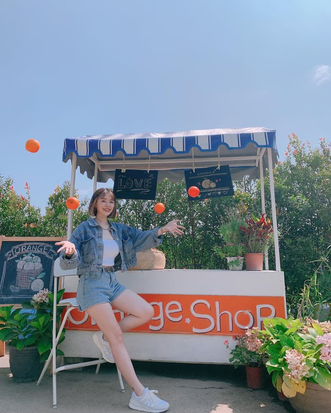 橙香森林 | 去趣 chicTrip