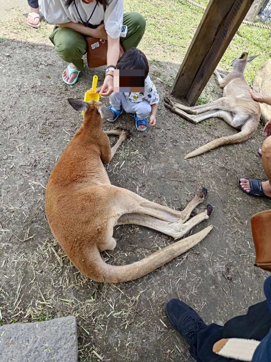 蘭陽動植物王國 | 去趣 chicTrip