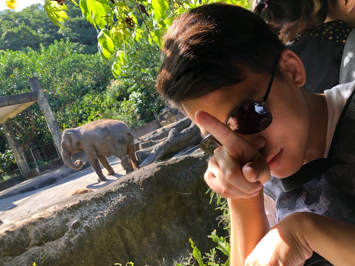 臺北市立動物園兒童動物區 | 去趣 chicTrip