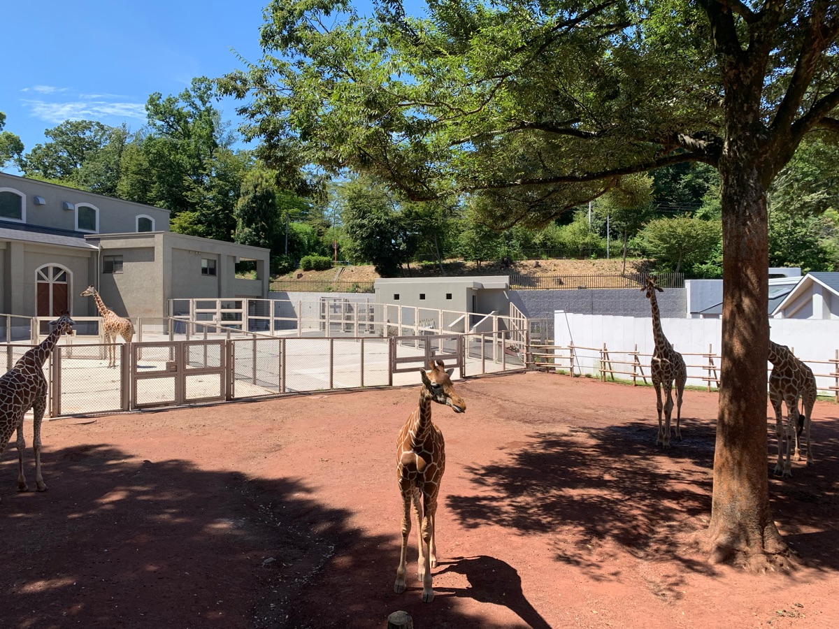 多摩動物公園 | 去趣 chicTrip